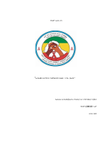 2013 wad document(1).docx